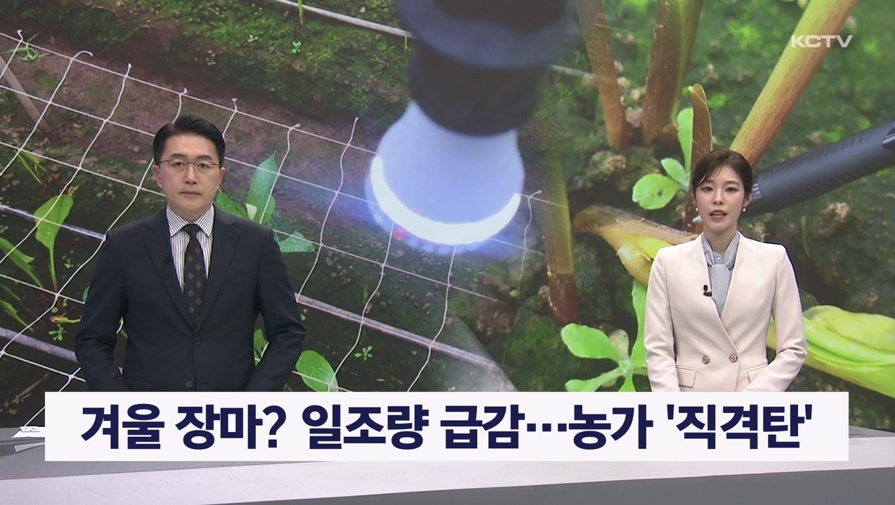 KCTV News7