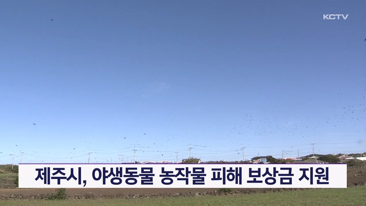 KCTV News7