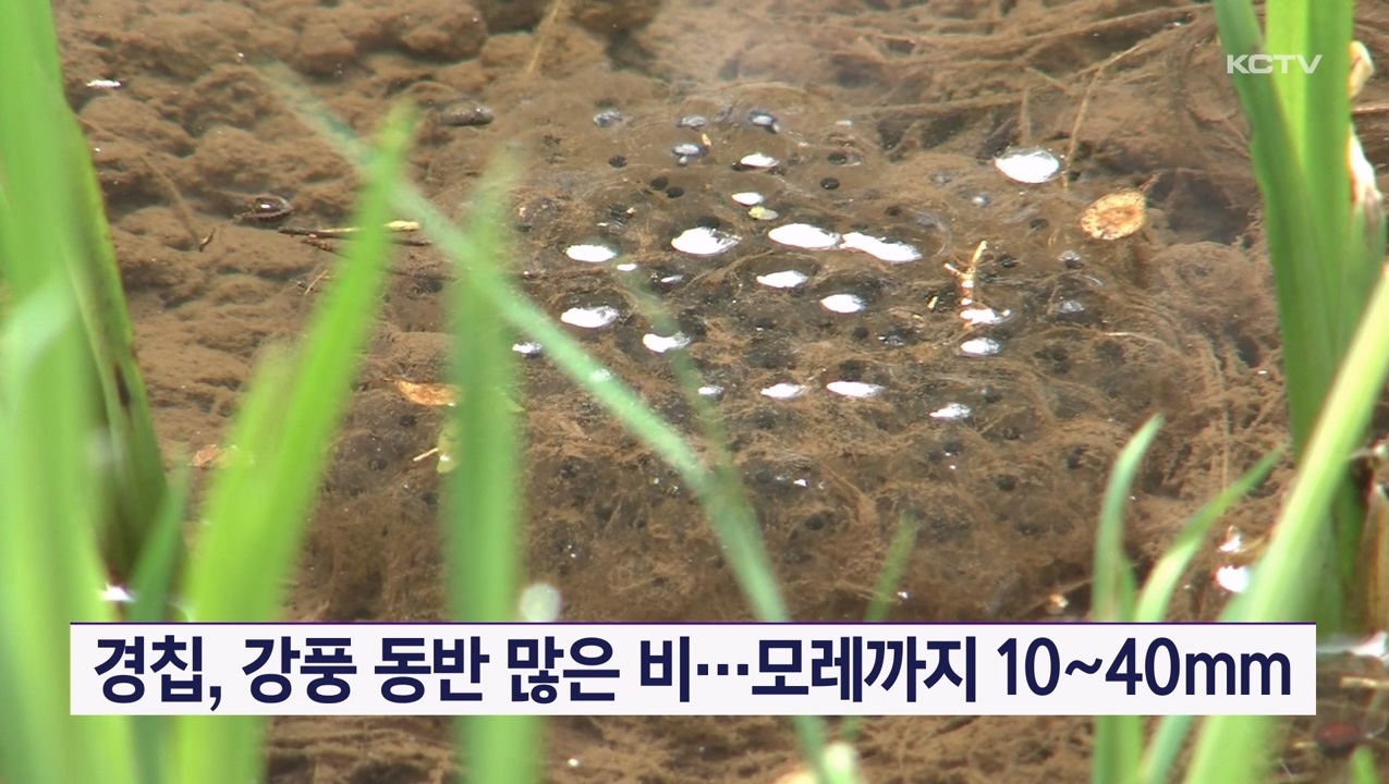 KCTV News7