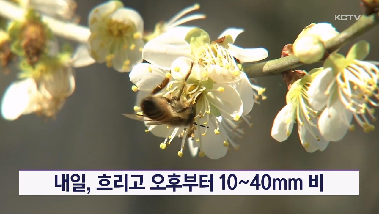 KCTV News7