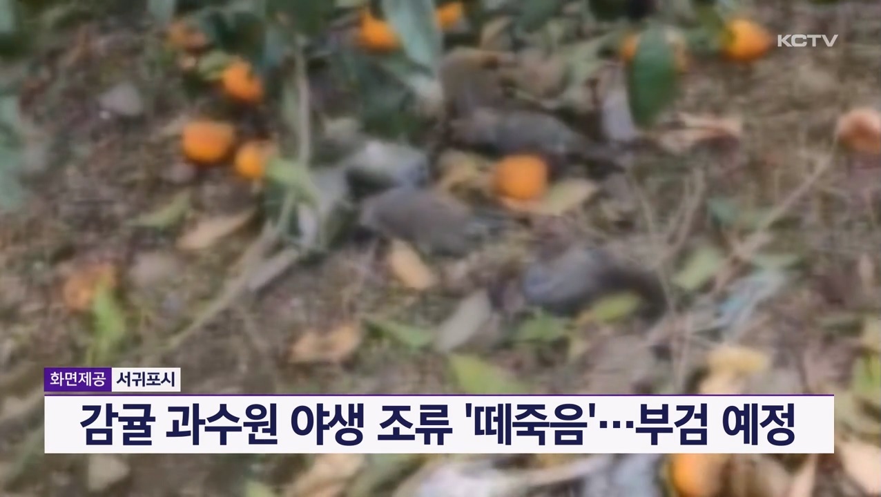 KCTV News7