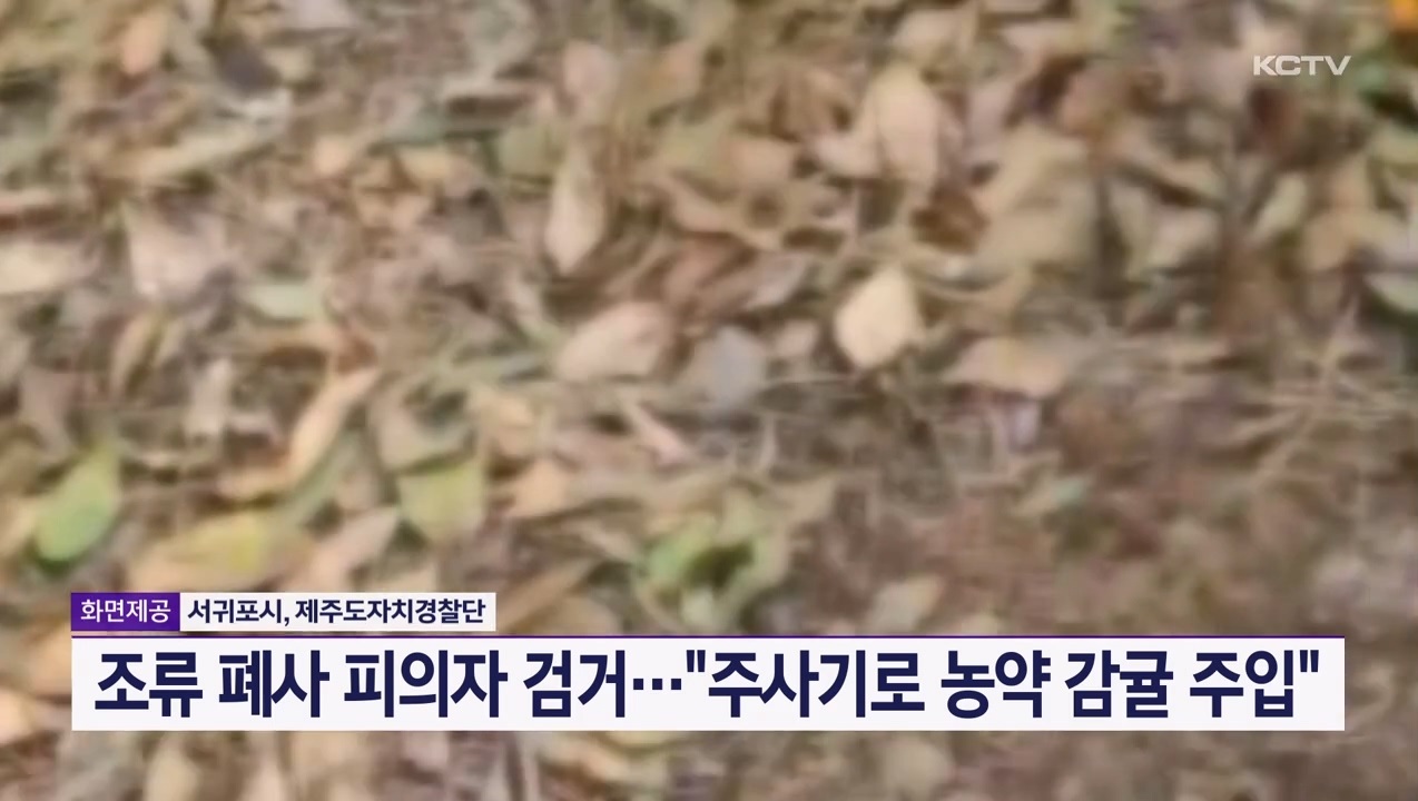 KCTV News7