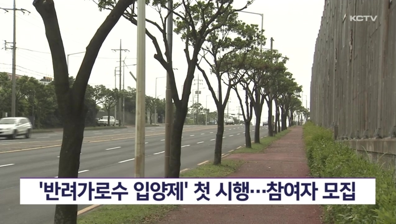 KCTV News7