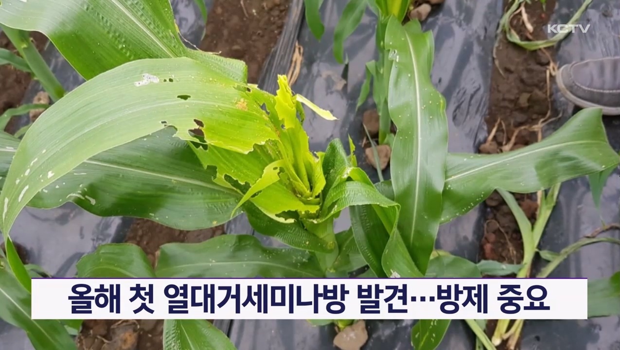 KCTV News7