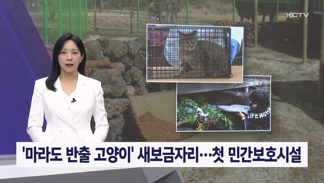 KCTV News7