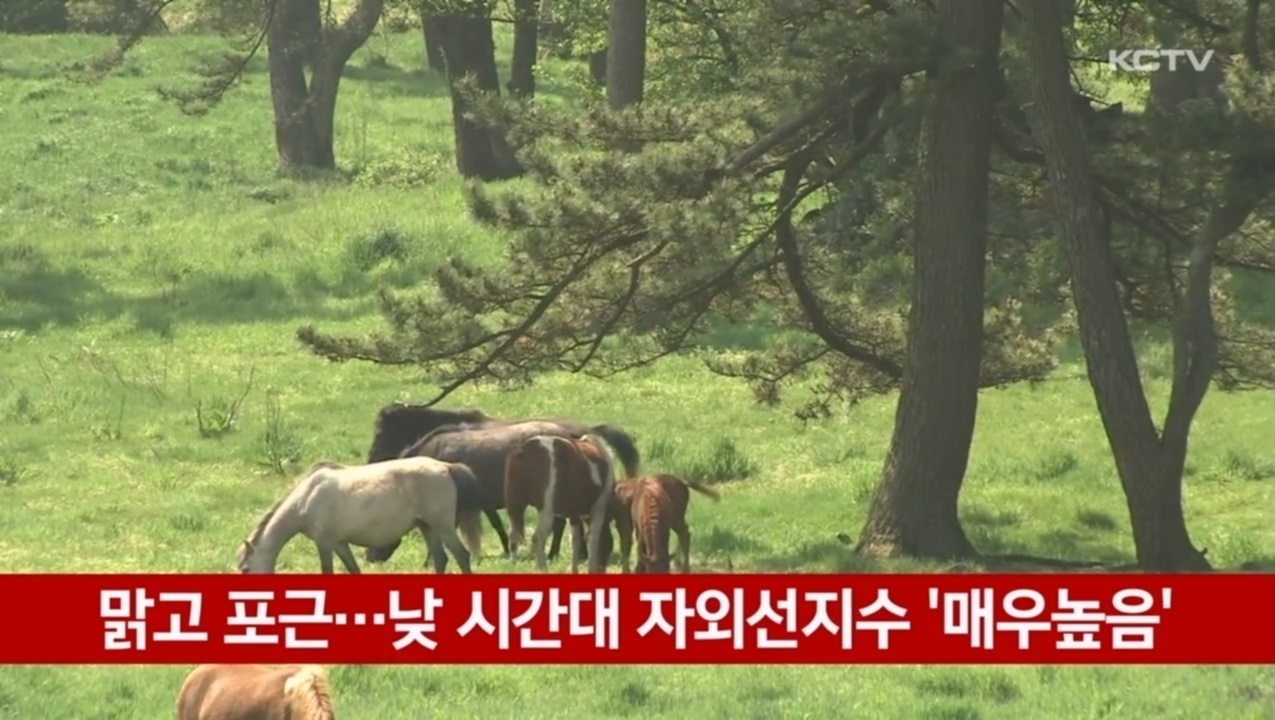 KCTV News7