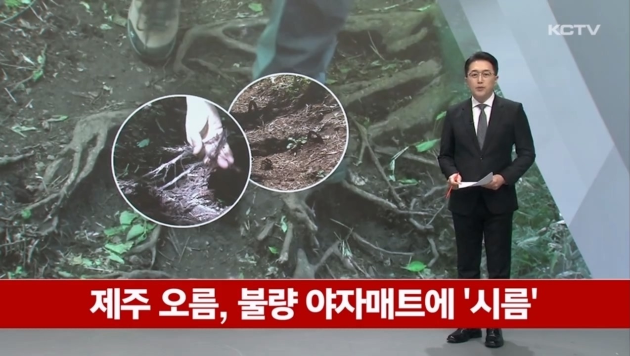 KCTV News7