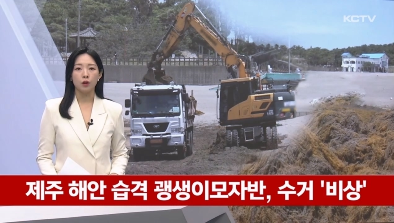 KCTV News7