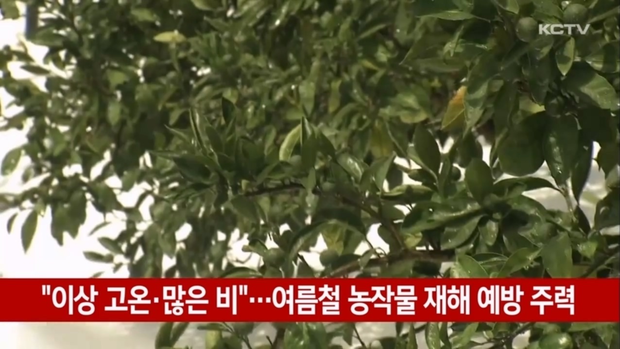 KCTV News7