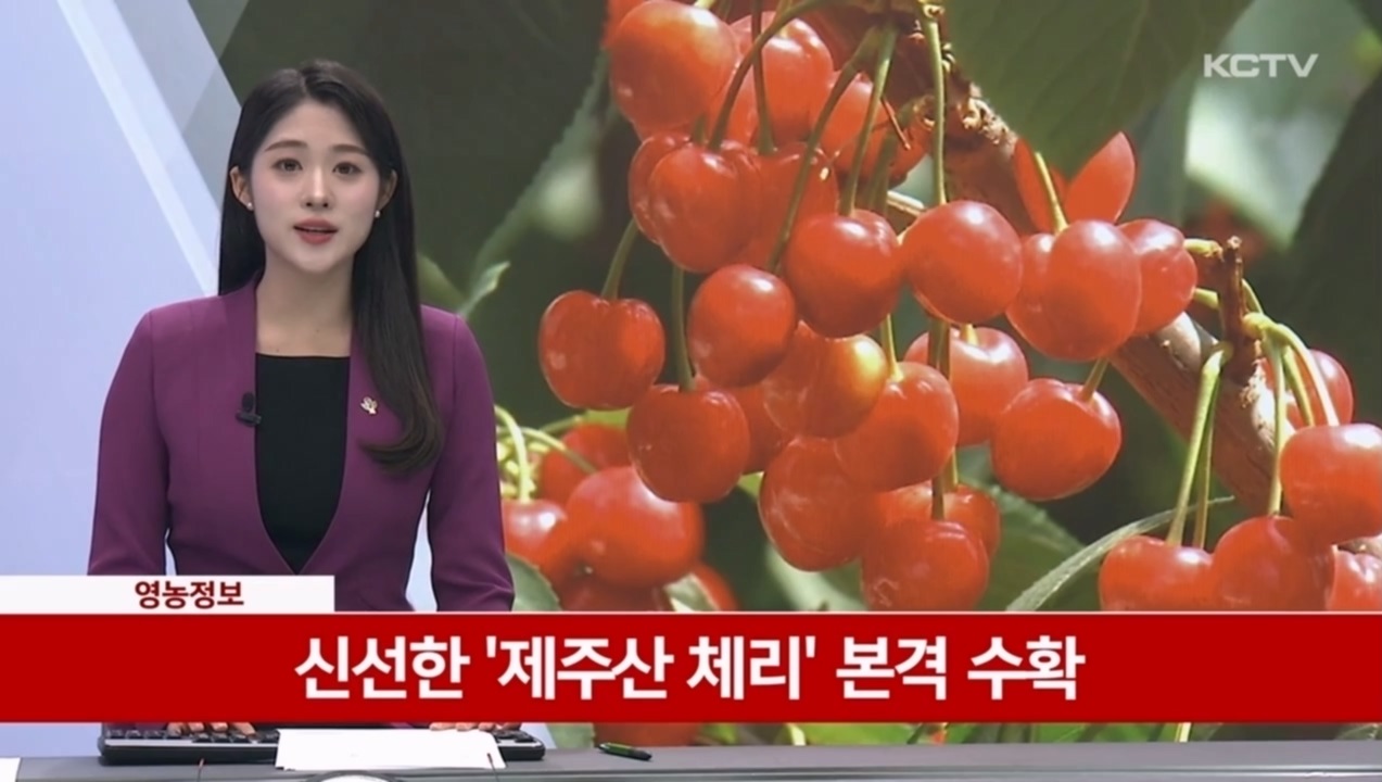 KCTV News7