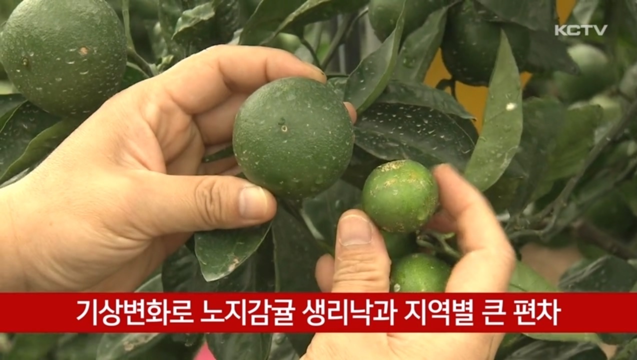 KCTV News7