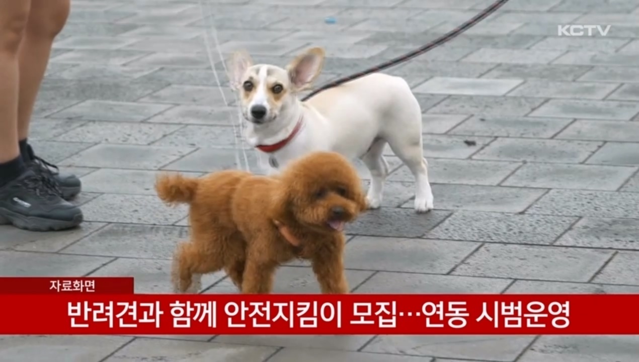 KCTV News7