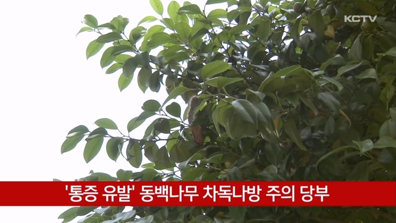 KCTV News7