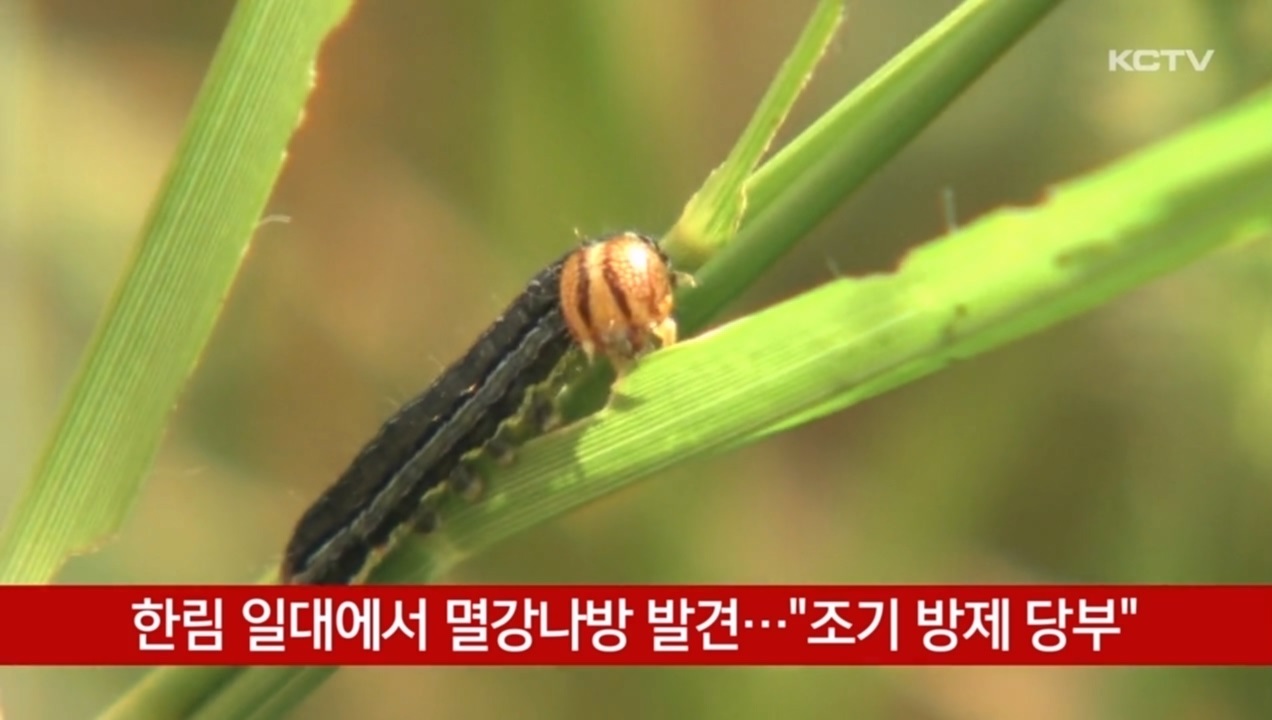 KCTV News7