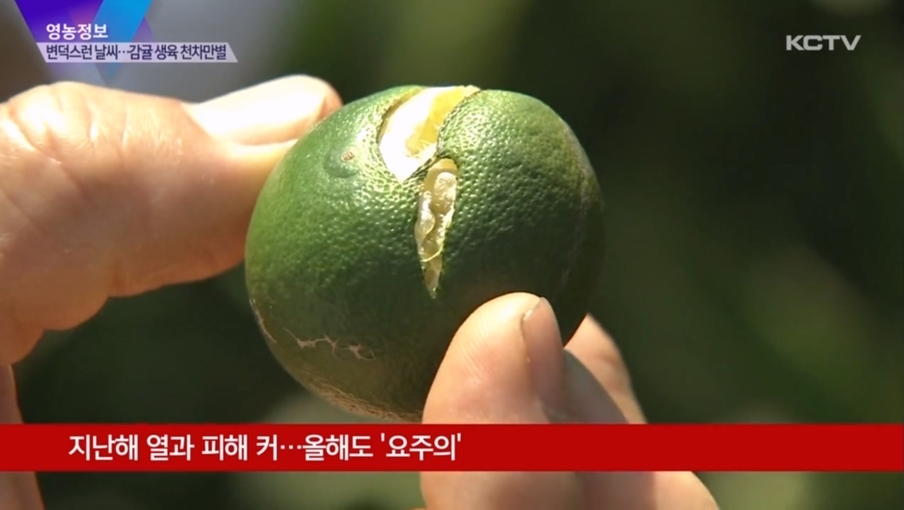 KCTV News7