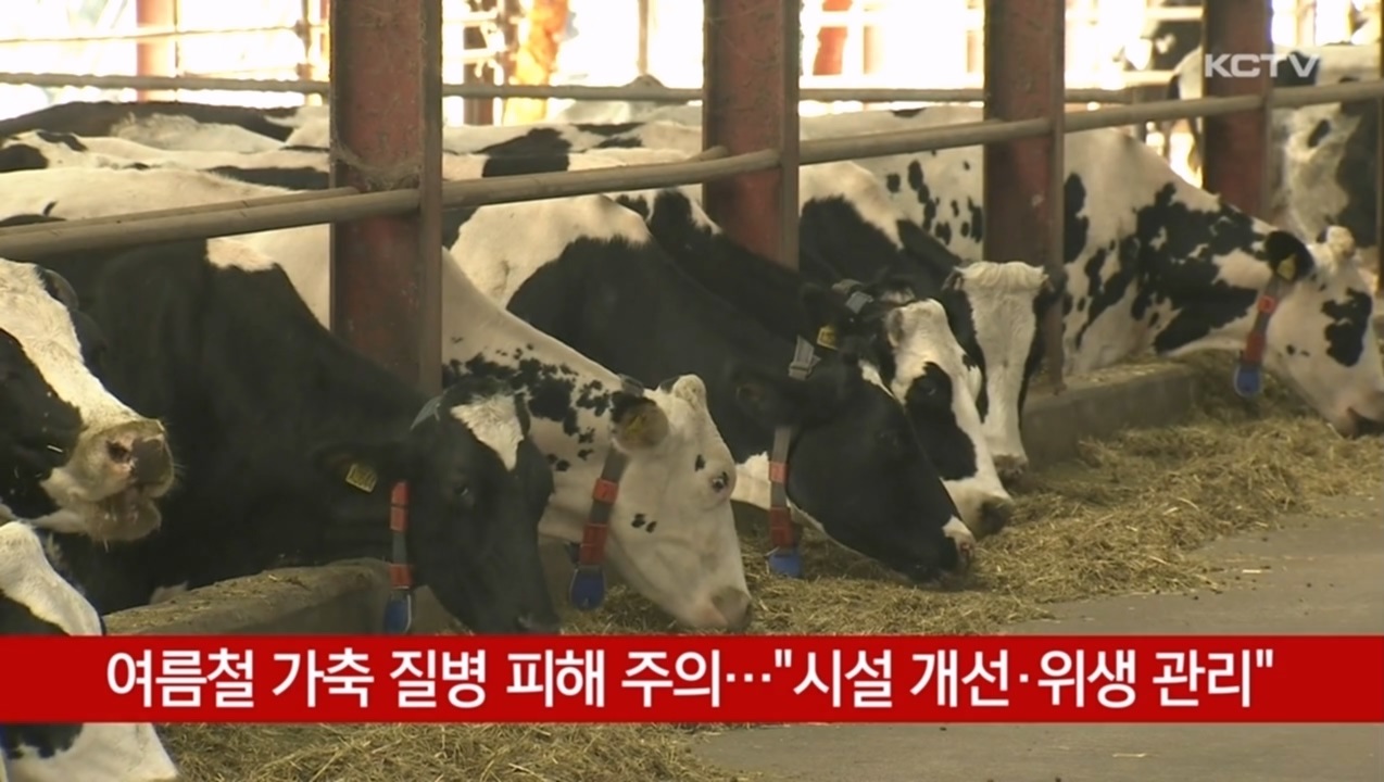 KCTV News7