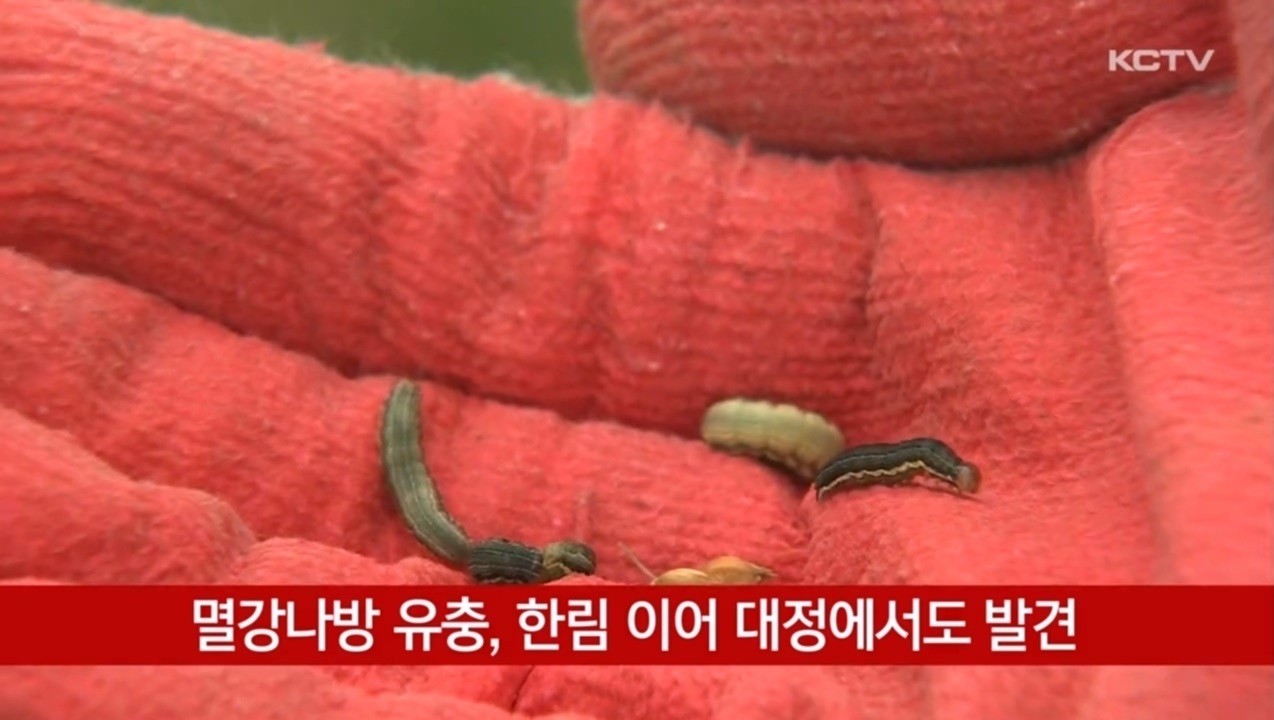 KCTV News7