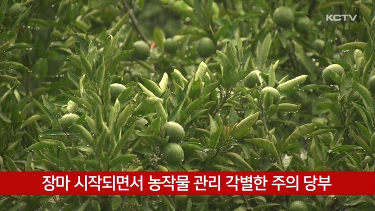 KCTV News7