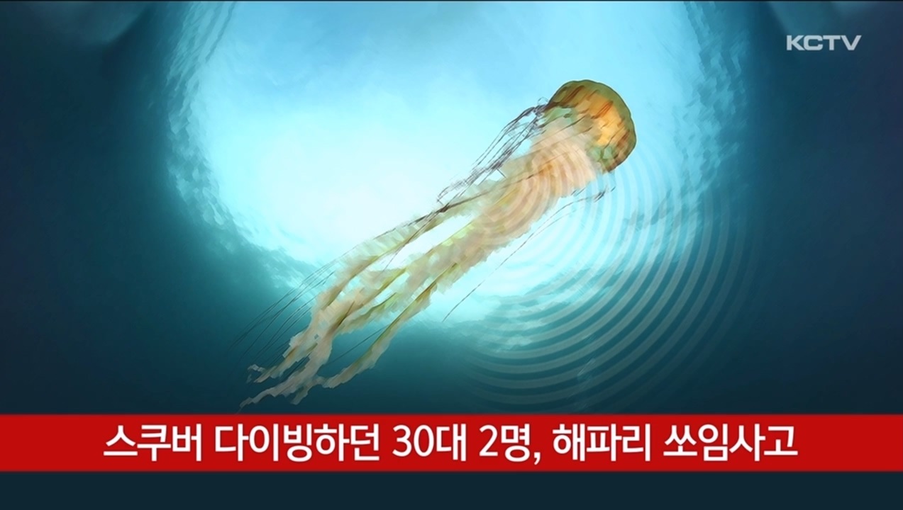KCTV News7