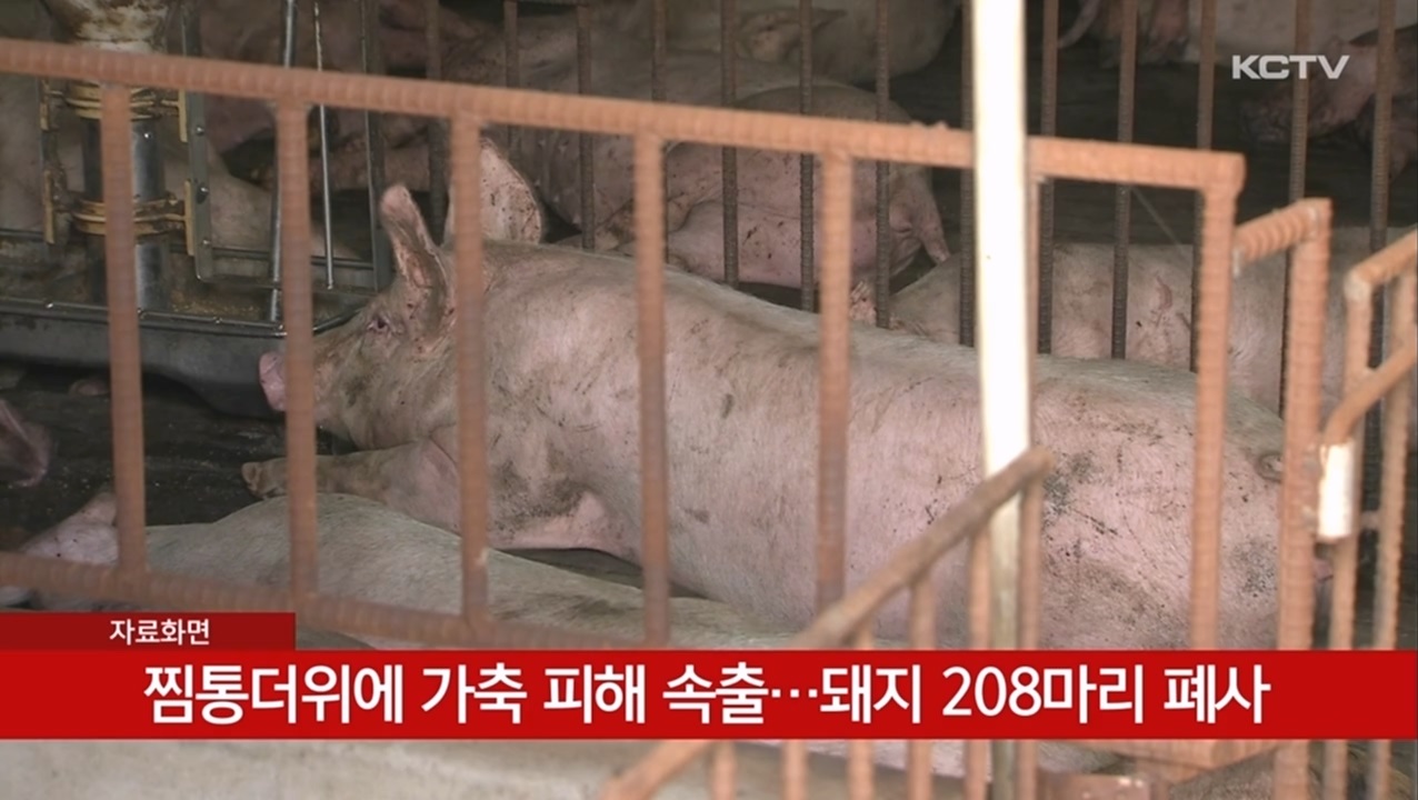 KCTV News7