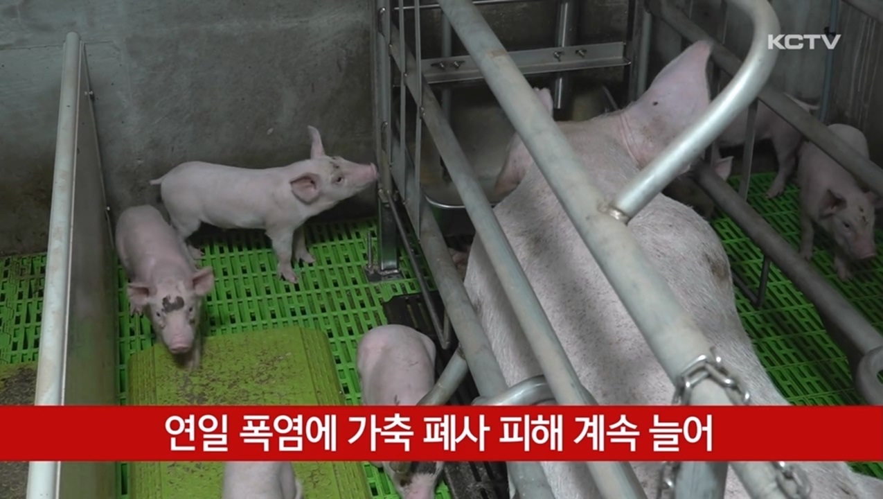 KCTV News7