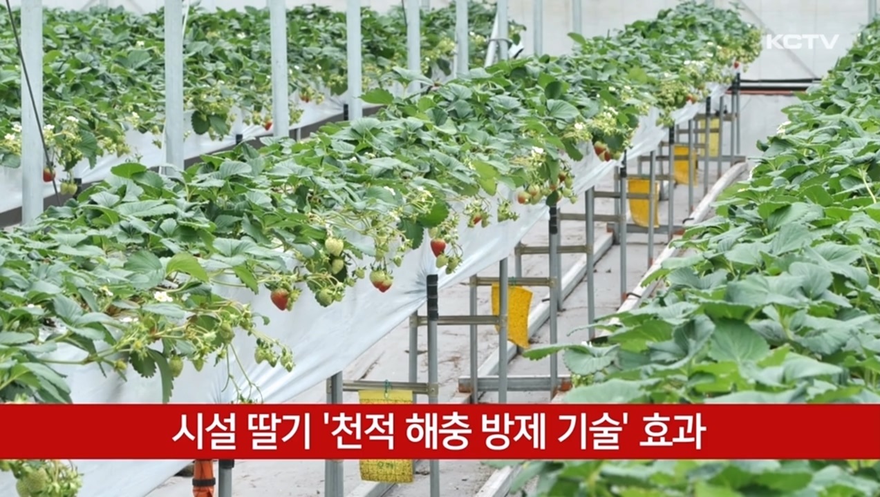 KCTV News7