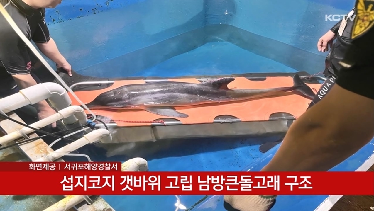 KCTV News7
