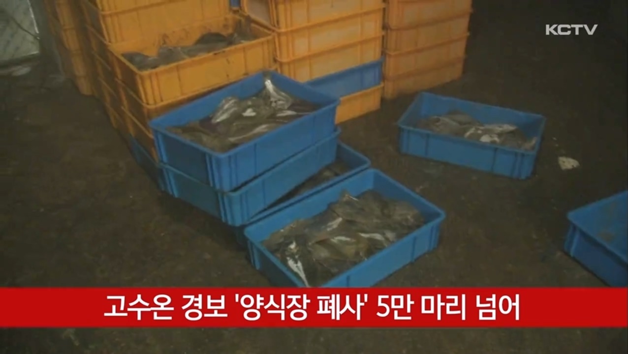 KCTV News7