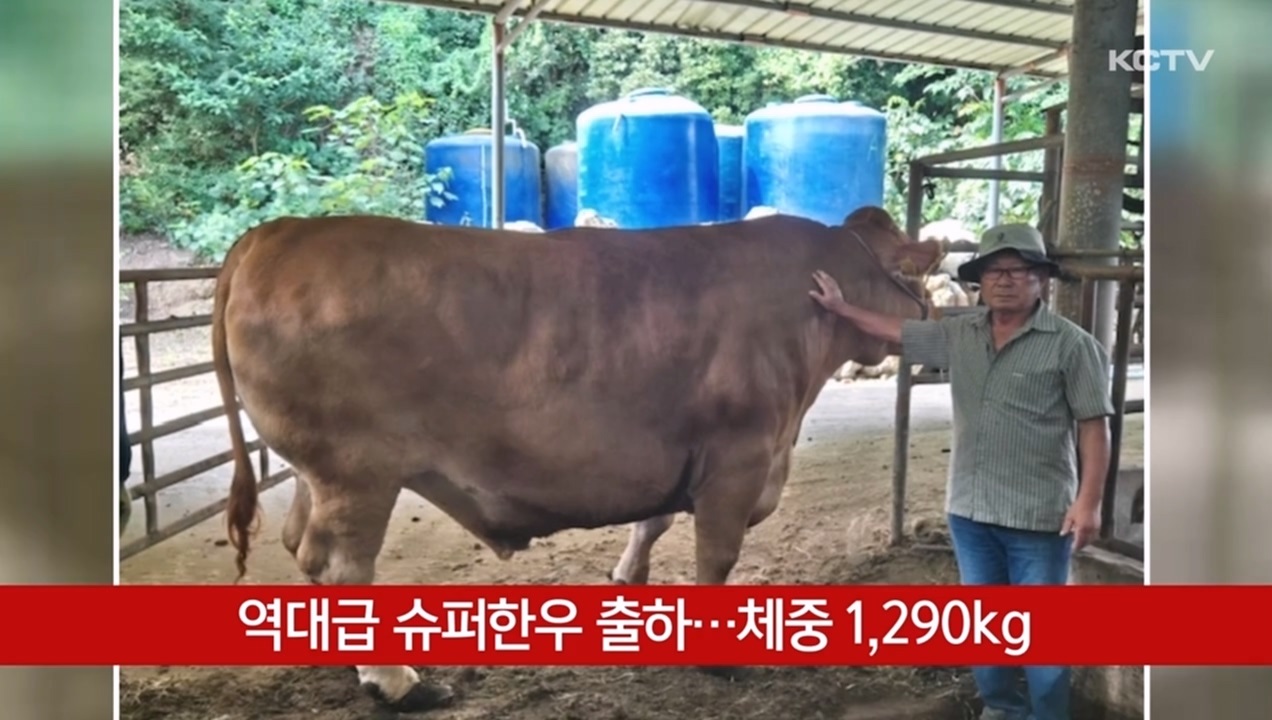 KCTV News7