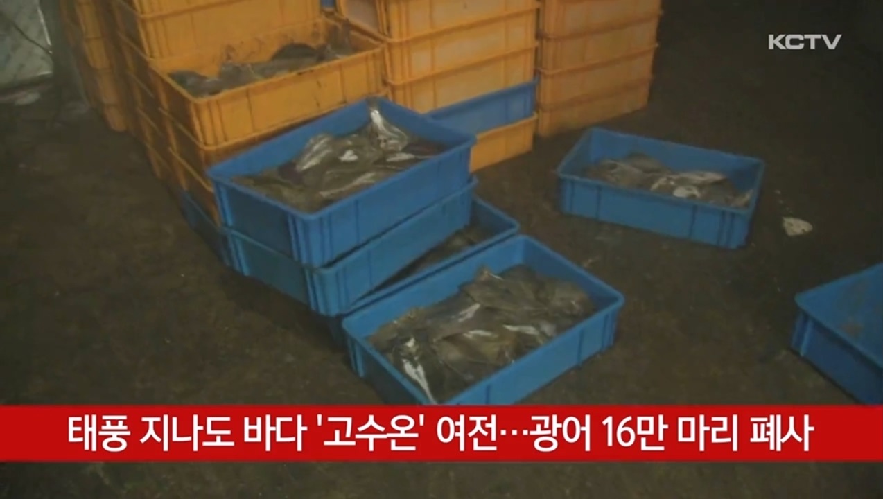 KCTV News7