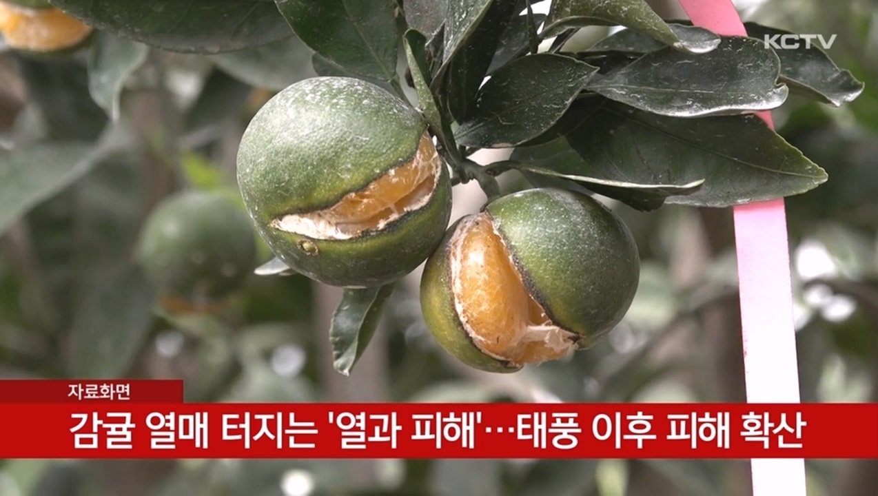 KCTV News7