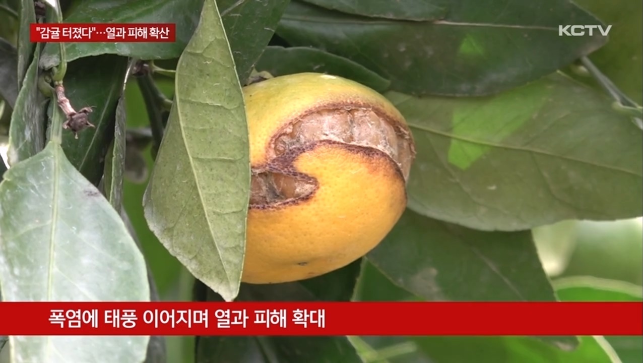 KCTV News7