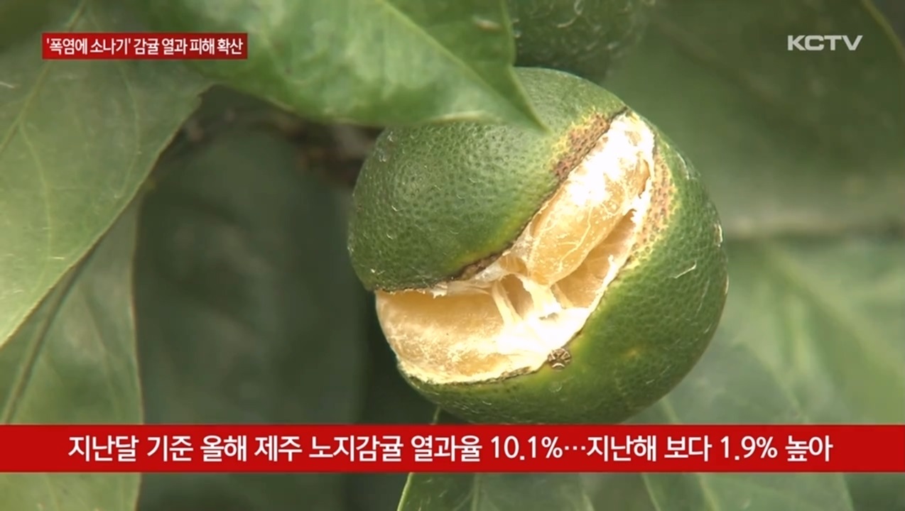 KCTV News7