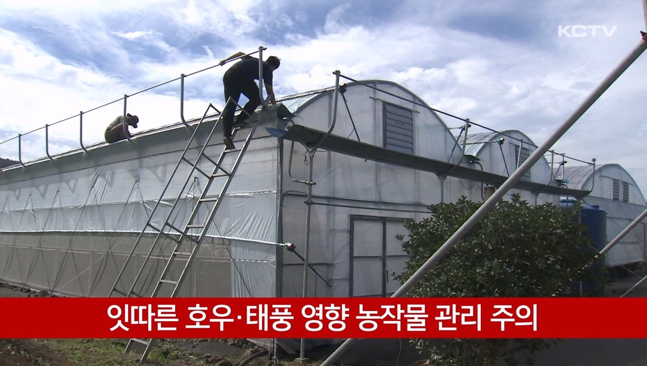 KCTV News7