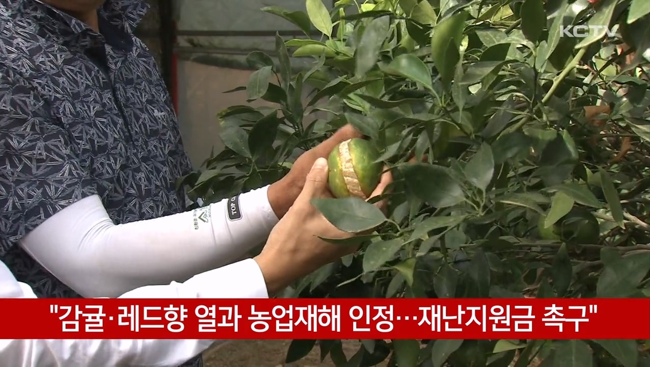 KCTV News7