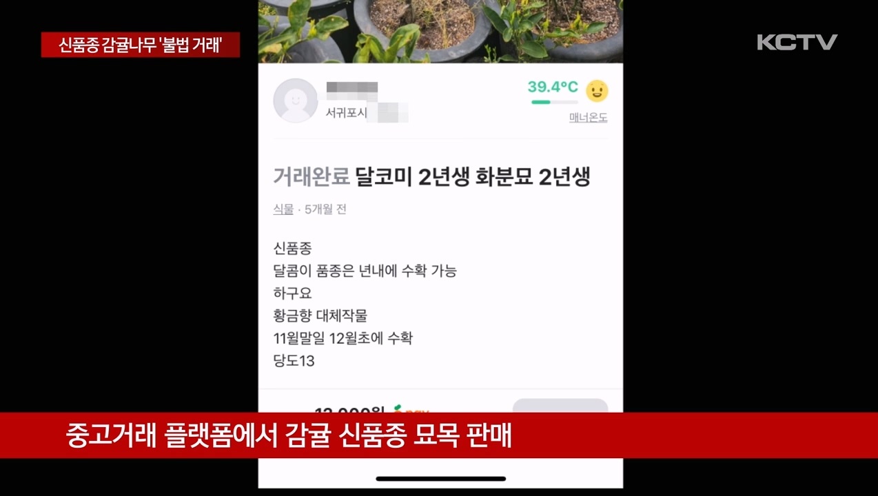 KCTV News7