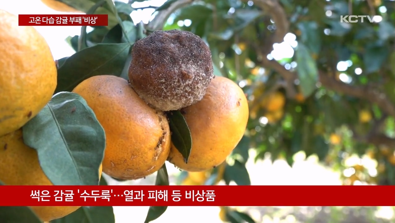 KCTV News7