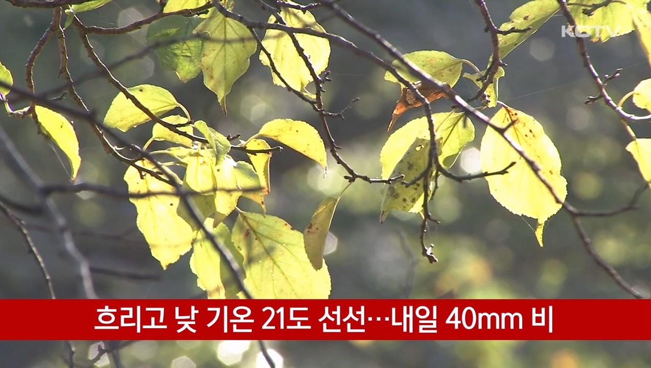 KCTV News7