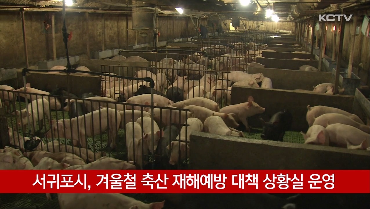 KCTV News7