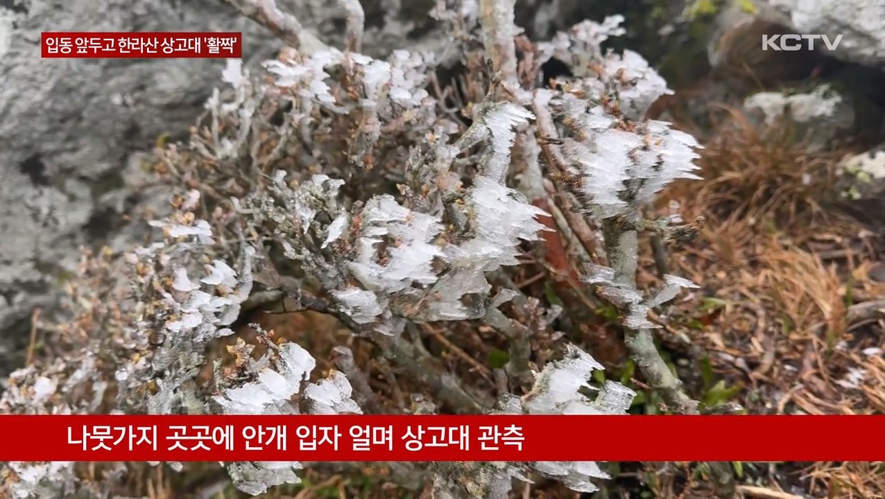 KCTV News7