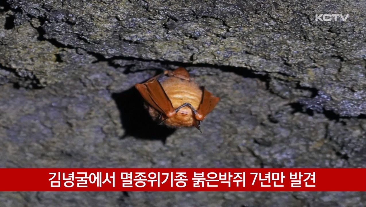 KCTV News7