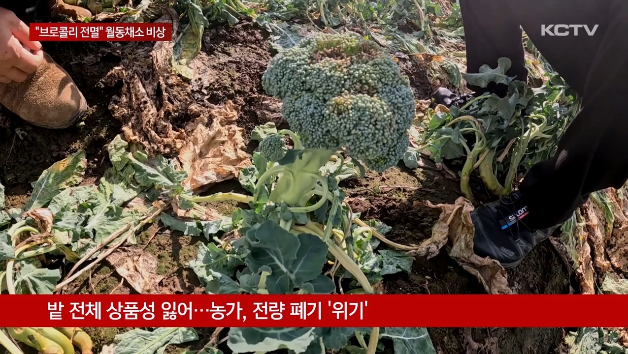 KCTV News7