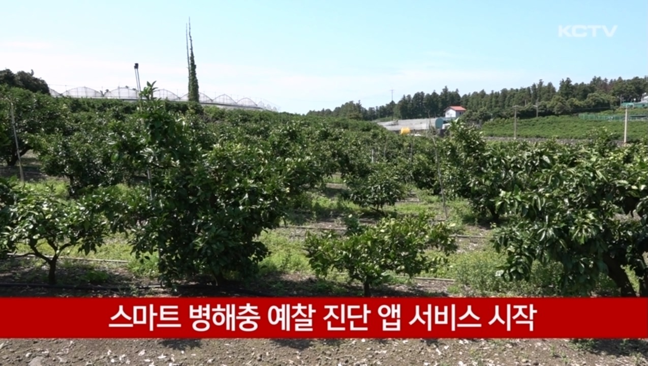 KCTV News7