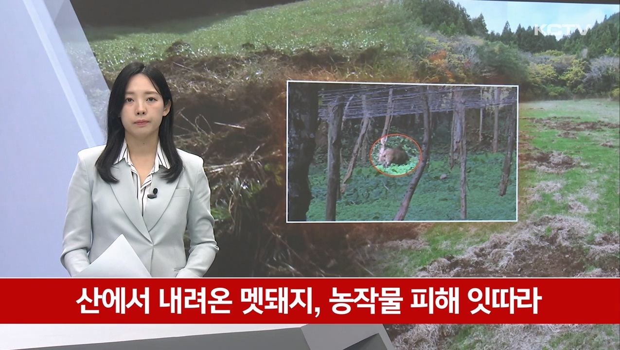 KCTV News7