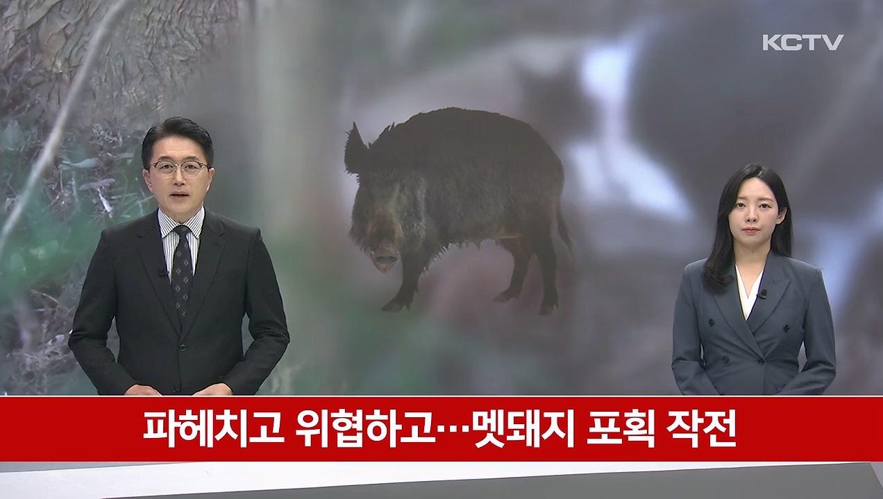 KCTV News7