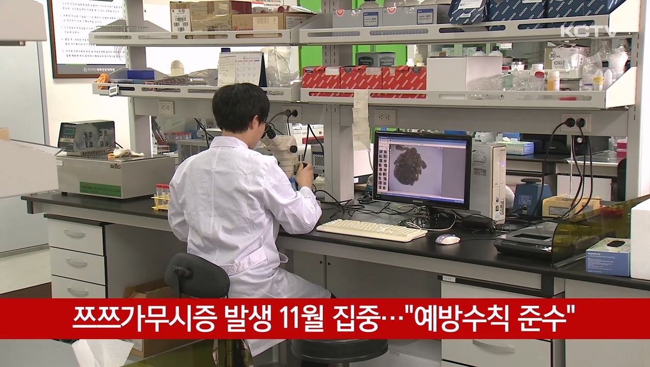 KCTV News7