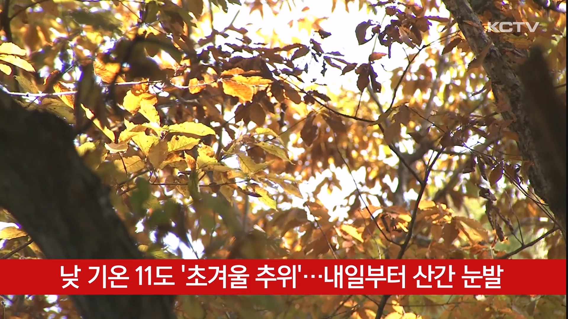 KCTV News7