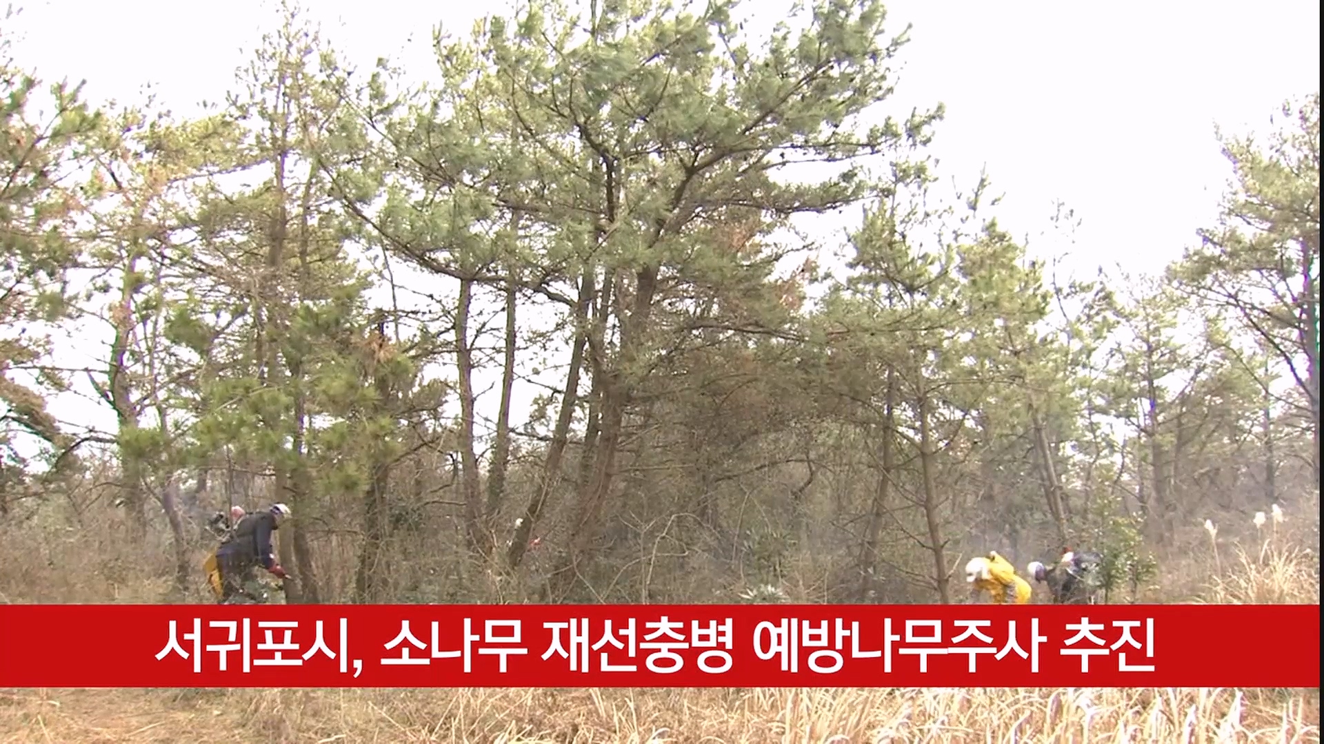 KCTV News7