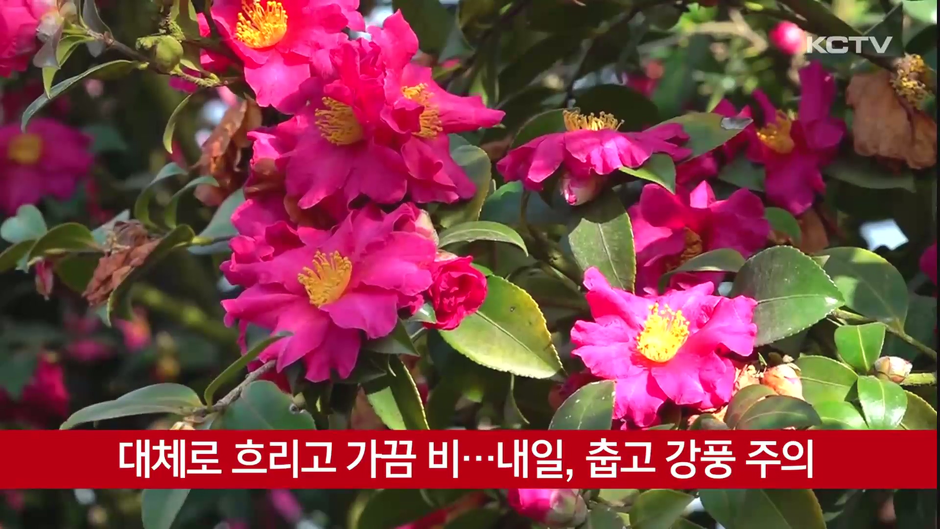 KCTV News7