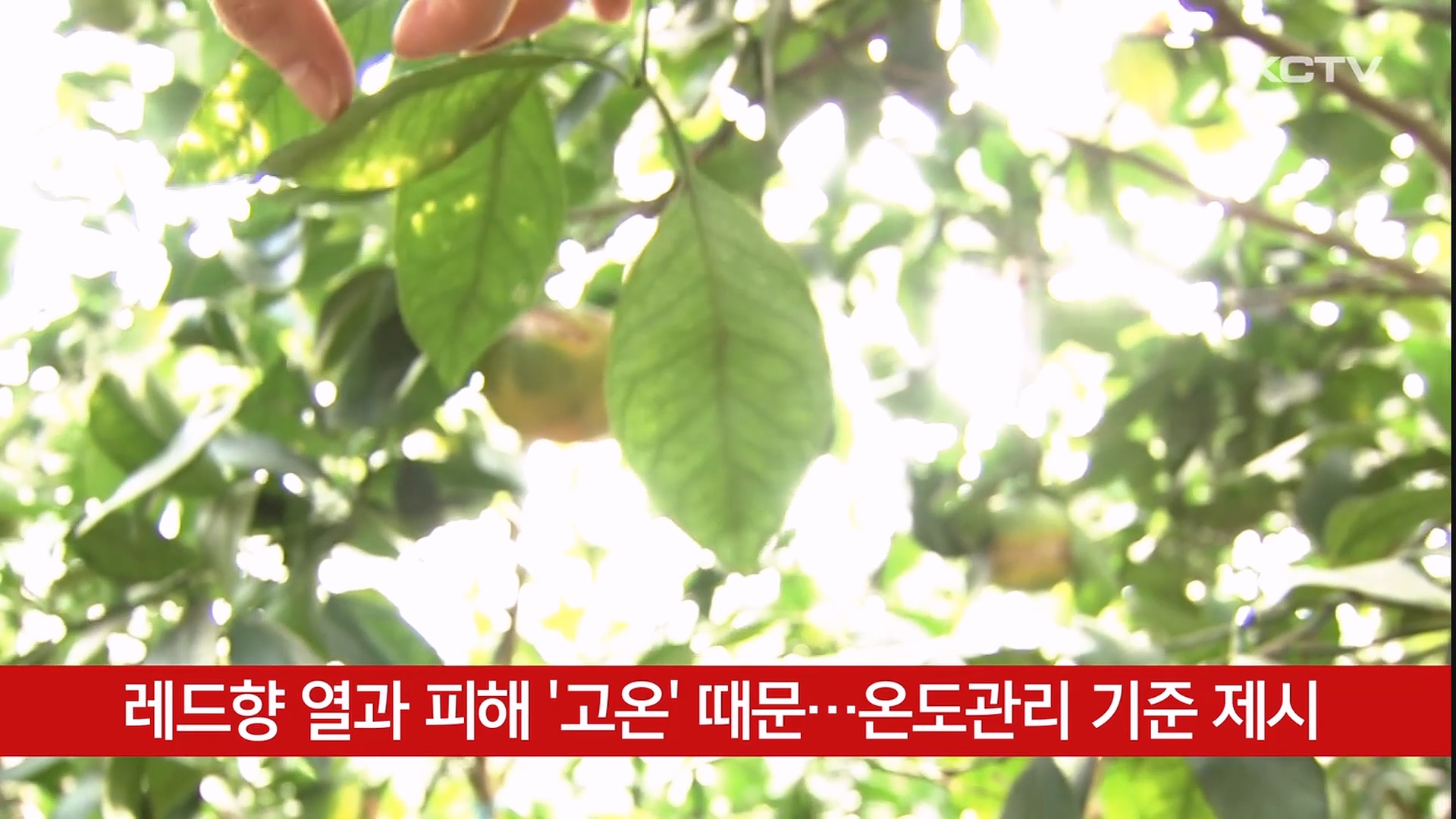 KCTV News7
